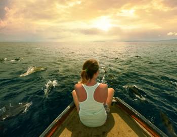 Explore the Dolphin Tours in Port Aransas